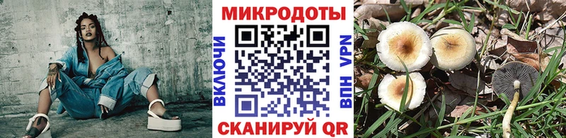 Галлюциногенные грибы Cubensis  Калуга 